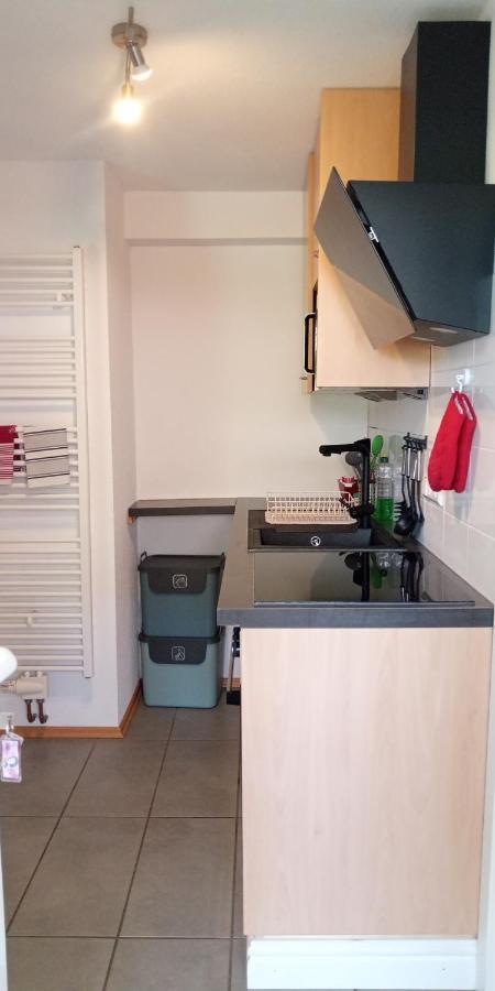 Ferienwohnung In Grenzach Eksteriør bilde