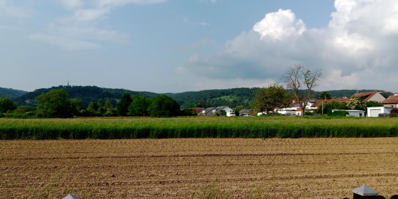 Ferienwohnung In Grenzach Eksteriør bilde